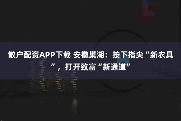 散户配资APP下载 安徽巢湖：按下指尖“新农具”，打开致富“新通道”