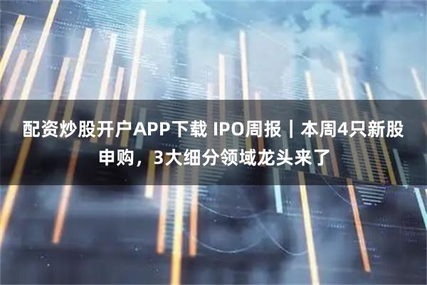 配资炒股开户APP下载 IPO周报|本周4只新股申购,3大细分领域龙头来了